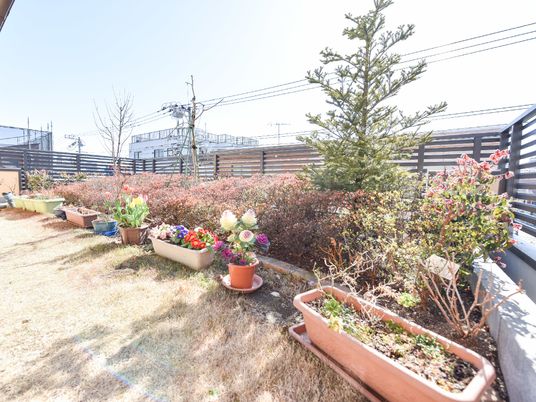庭園の植物とベンチ