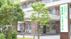 緑豊かな玄関