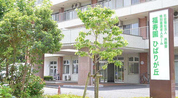 緑豊かな玄関