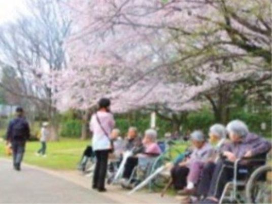 桜並木と利用者