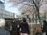 桜並木沿いの散歩道