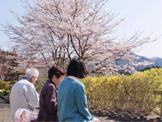 春の花と共にくつろぐ人々