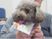 犬と抱擁する人の笑顔