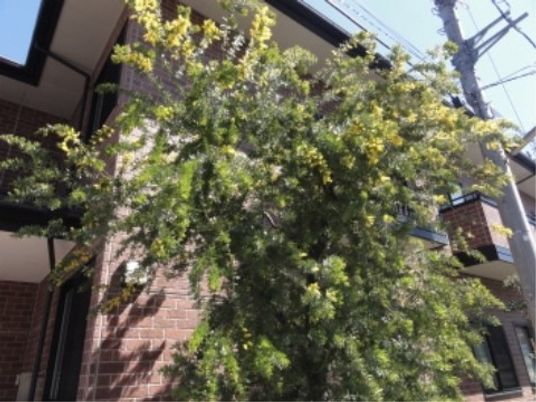 緑溢れる働き場所外観