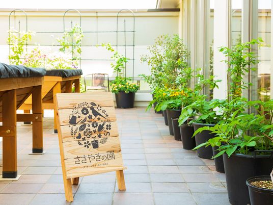 植物が並ぶ明るいテラス