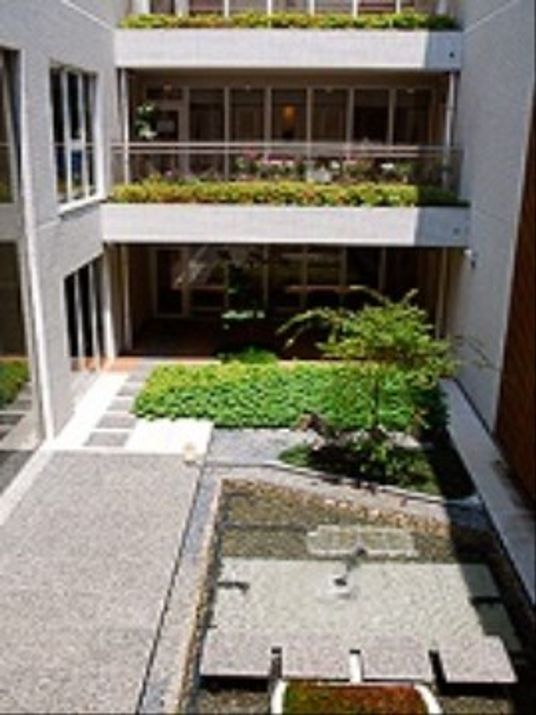 緑豊かな中庭の風景