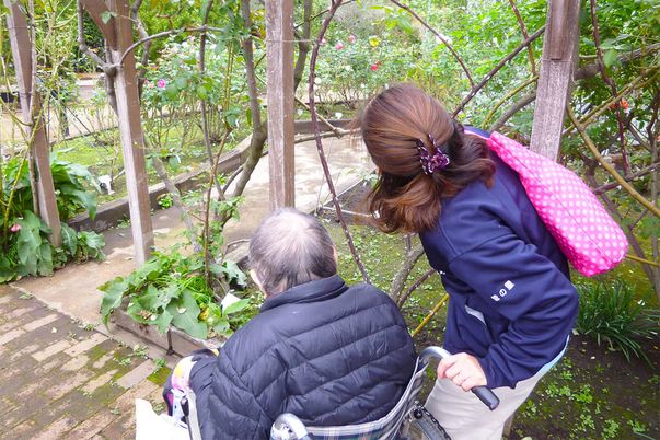 親しみやすい庭