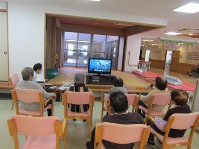 テレビ鑑賞の様子