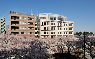 桜に囲まれた建物外観