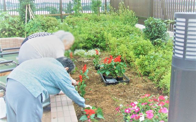 花壇での活動