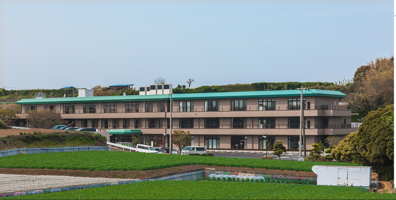 緑に囲まれた建物外観
