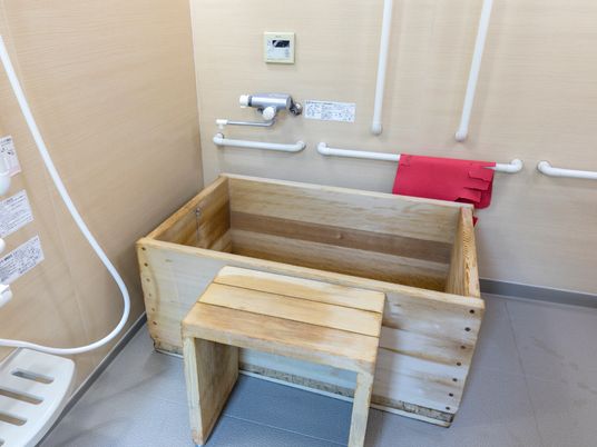 設備された安全な浴室