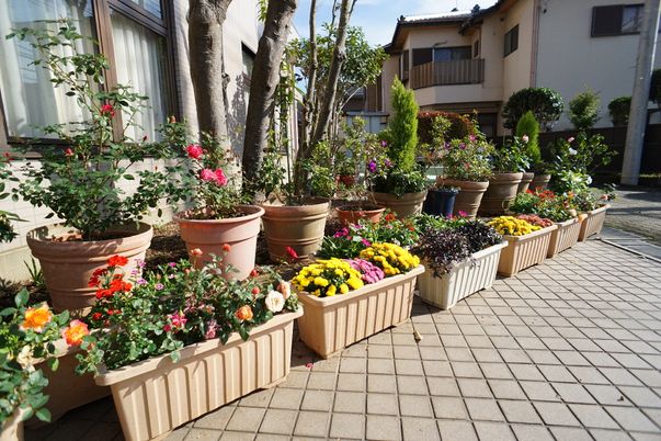 花壇と樹木のある中庭