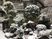 雪景色が広がる中庭