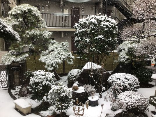 雪景色が広がる中庭