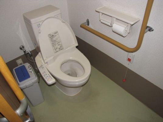手すり付き清潔なトイレ