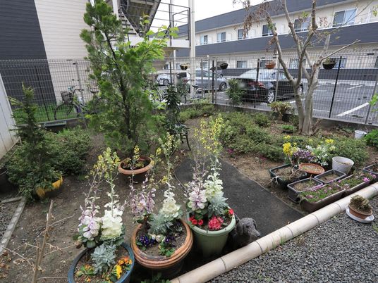 緑豊かな中庭風景