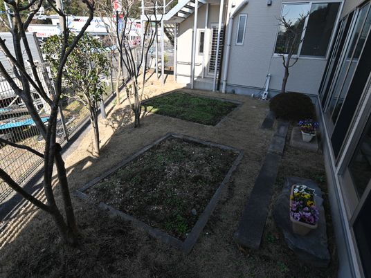 中庭の緑と花壇