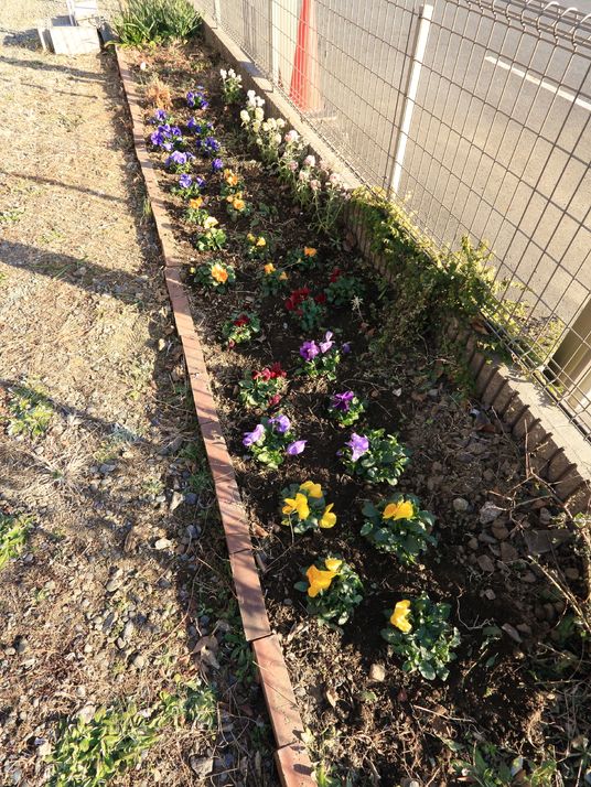カラフルな花壇が並ぶ中庭
