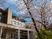 桜と施設の外観
