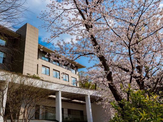 桜と施設の外観