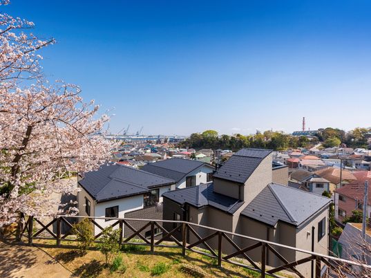 桜と街並みの景色