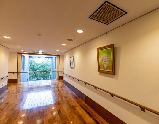 清潔な廊下と緑の窓外景