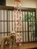 犬と飾りの和室