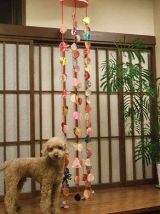犬と飾りの和室