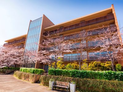 桜並木と建物の外観