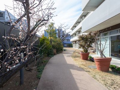 心地よい庭の小道