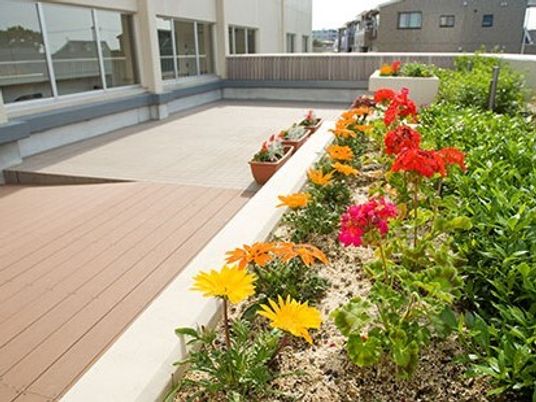 色鮮やかな庭の花壇