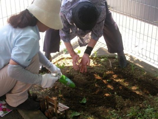 庭での園芸活動