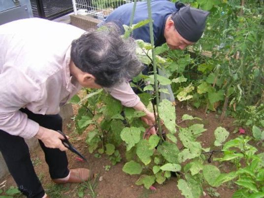 利用者の庭いじり