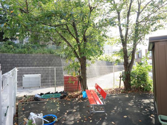 中庭の緑とベンチ