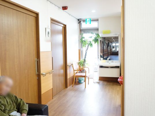 廊下に木製の椅子と植物