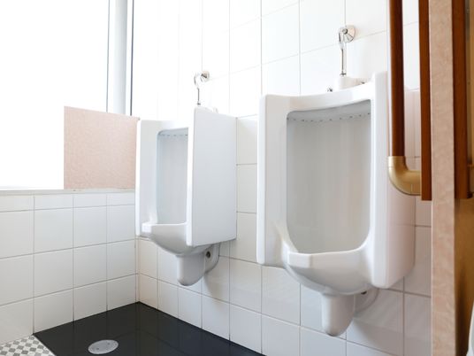清潔なトイレの様子