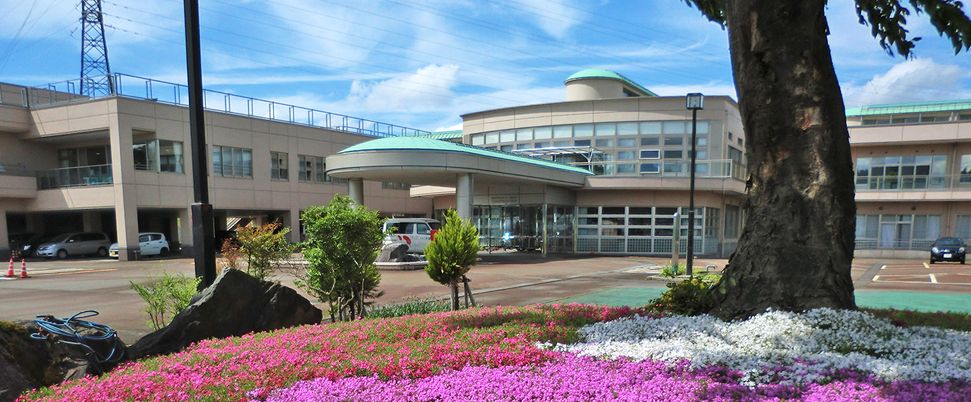 鮮やかな花の庭