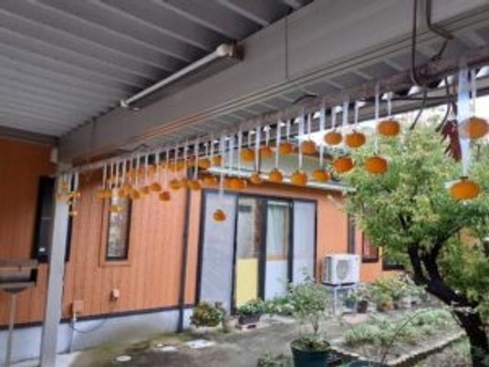 柿が干された風景