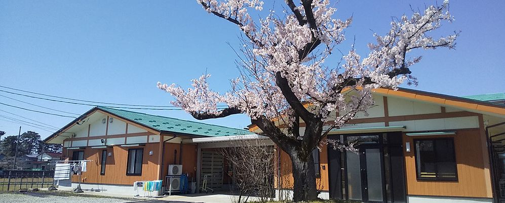 桜の木と建物の外観