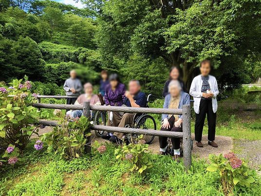 自然の中の集団様子