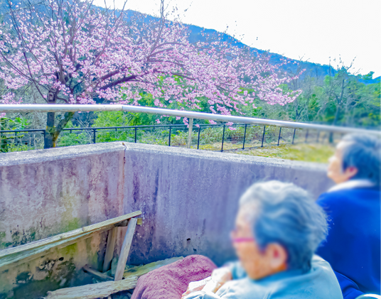 桜の景色を楽しむテラス