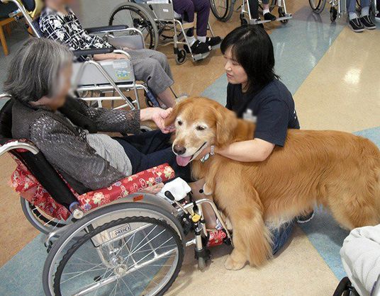動物と交流する場