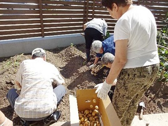 野菜の収穫作業をする庭