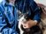 猫を抱く人の写真
