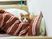 ねこがおりこうさんに座る