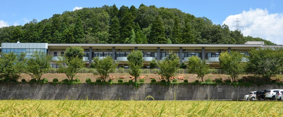緑豊かな外観