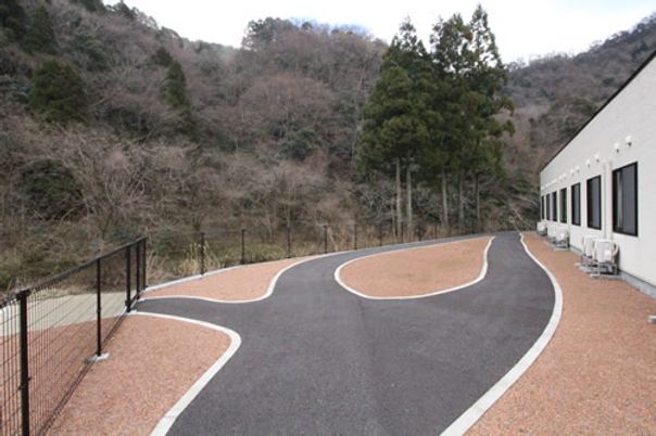 ゆったりとした散歩道