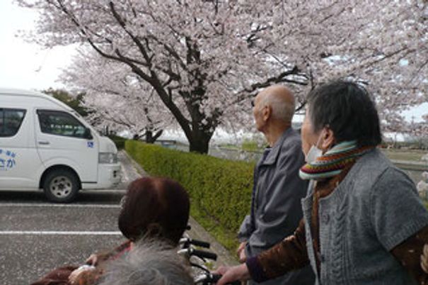 桜の下で過ごす前庭