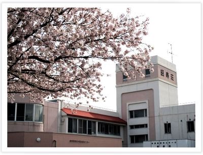 桜のある建物外観